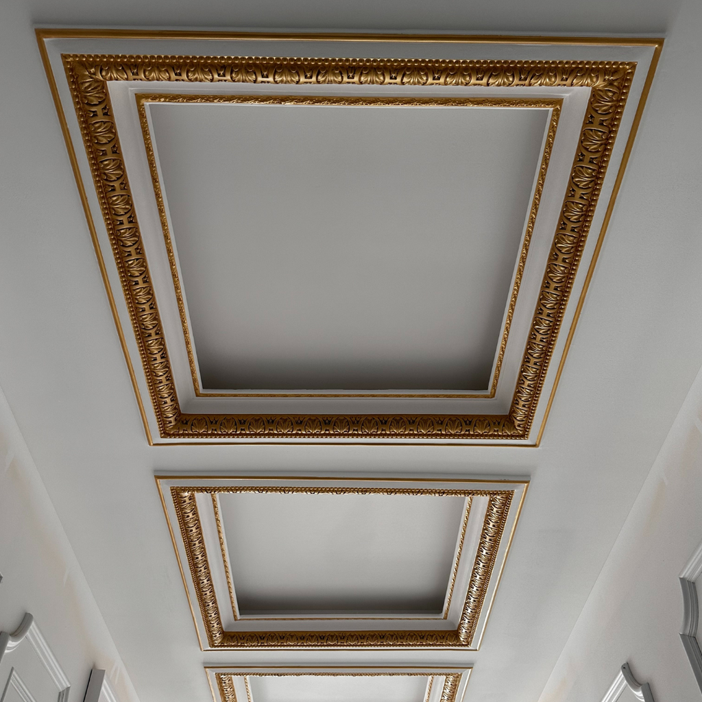 ArgenCoat Painting - painting company in Gold Coast