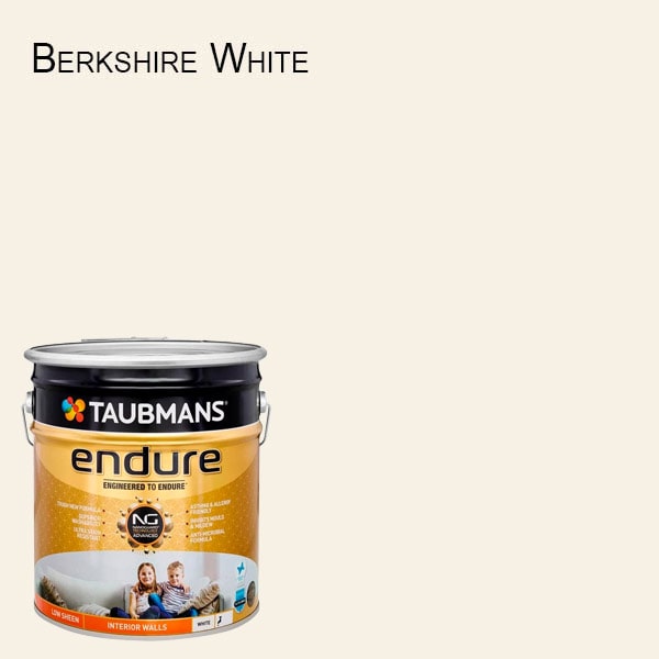 Taubmans Combo Project Prep and Paint Special - 124200/15L