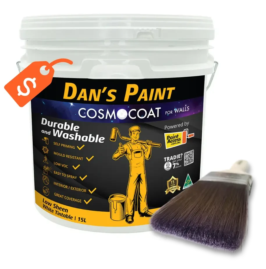 Dan's Paint