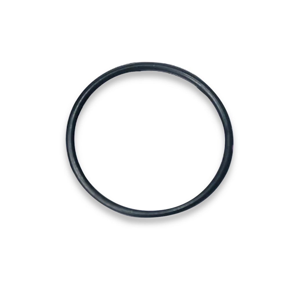 Graco Cylinder O-Ring Packing for ProConnect Endurance Displacement Pump (17V093)