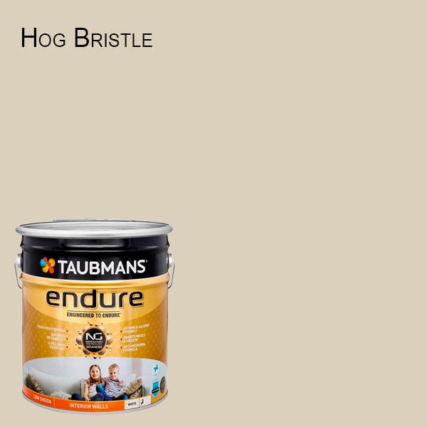 Taubmans Combo Project Prep and Paint Special - 124200/15L