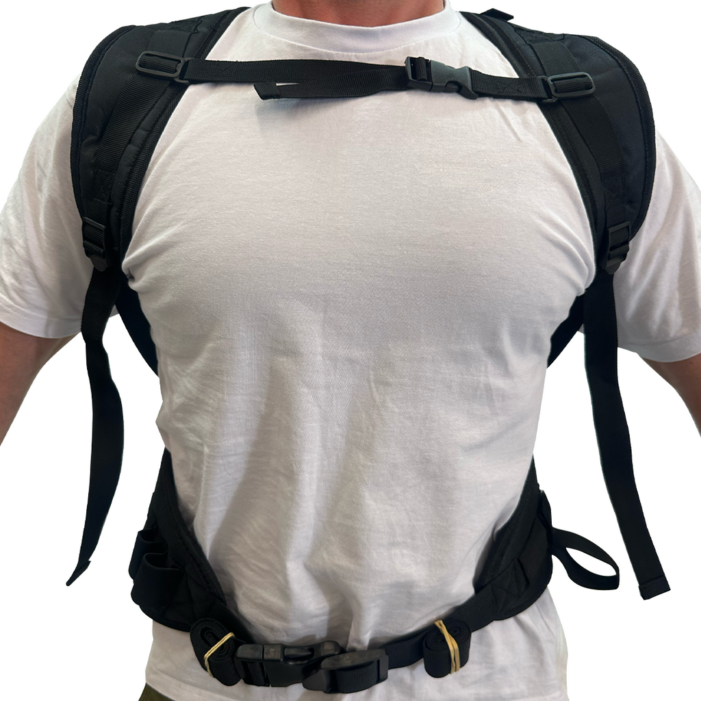 Graco Ultra QuickShot + PaintAccess Backpack